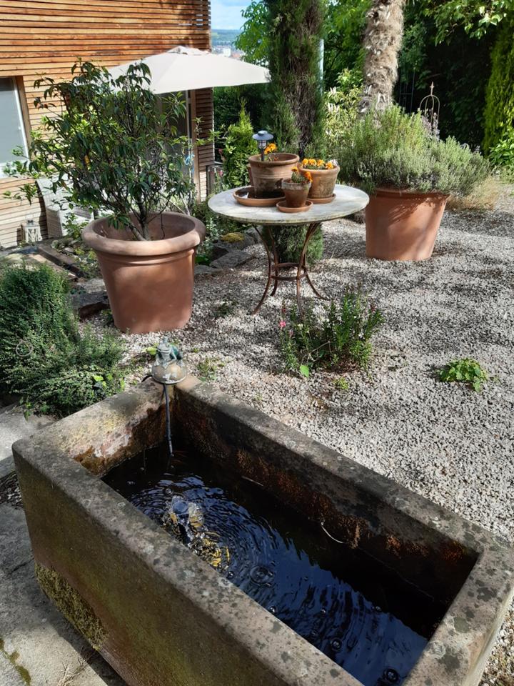 Thumbnail-Haus in RottenburgMartinsberg mit herrlicher Aussicht