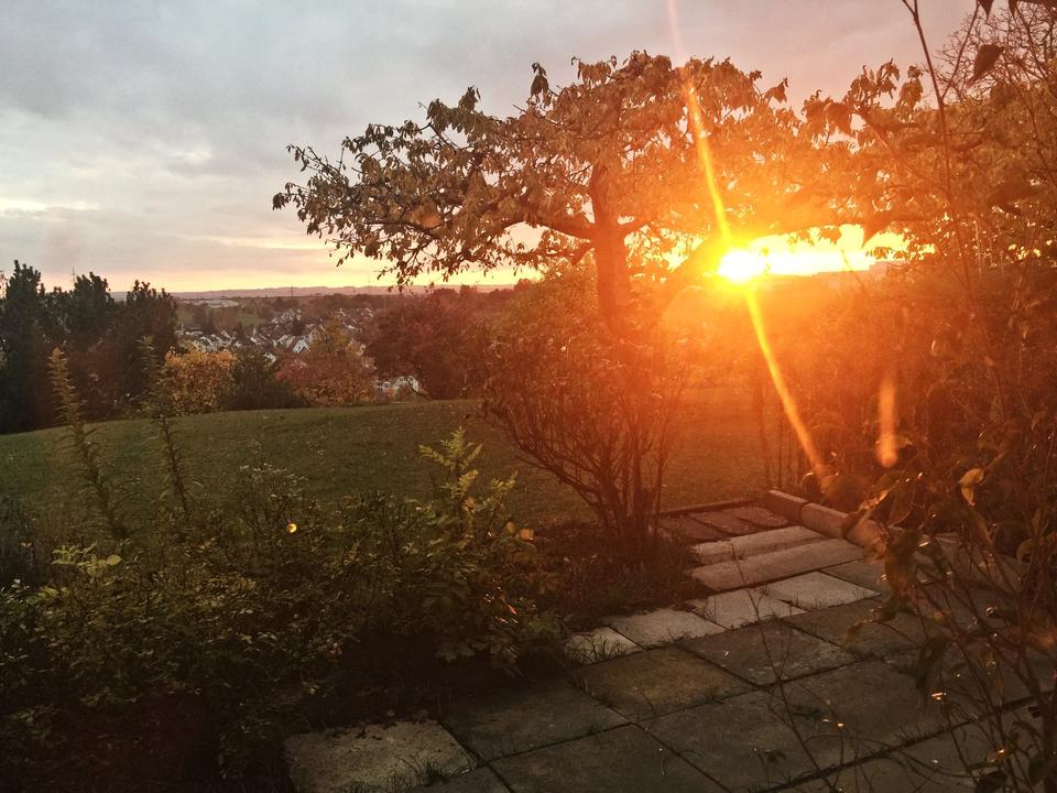 Thumbnail-HELLE gepflegte 2,5-Zimmer-Terrassenwohnung mit Einbauküche