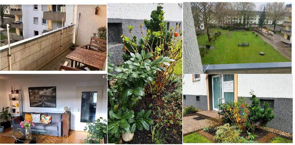 Thumbnail-Gemütliche Wohnung mit Sonnenschein in ruhiger Lage in Do- Körne