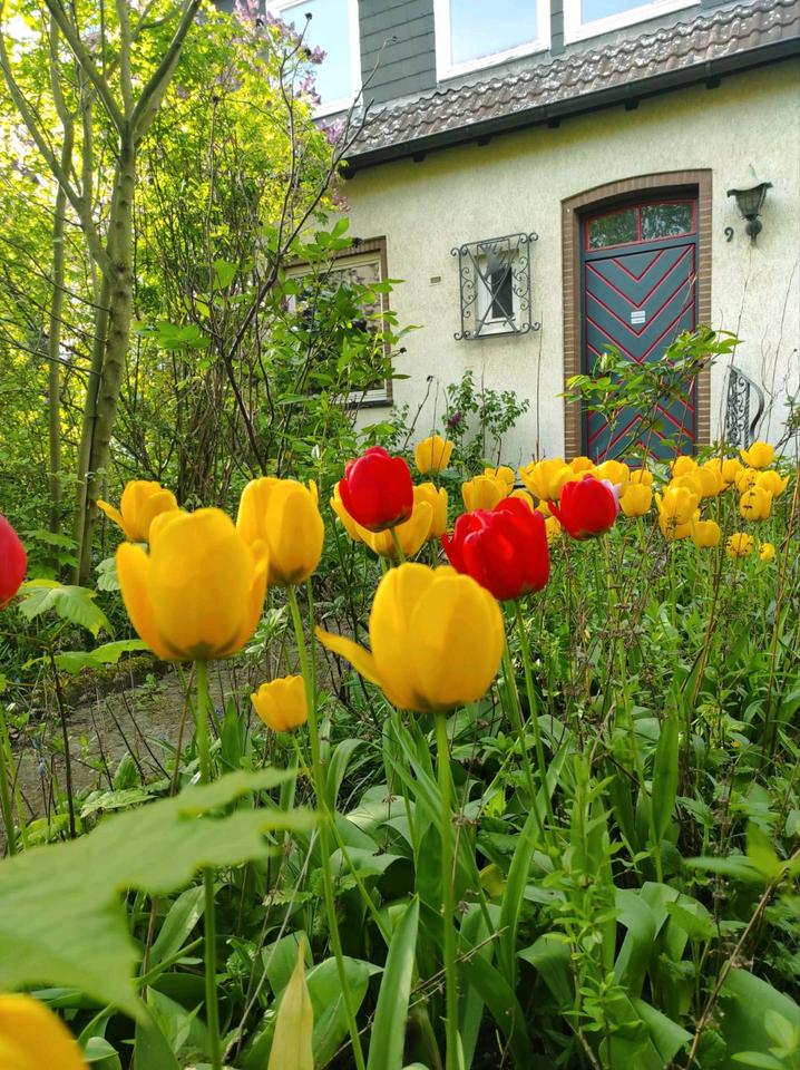 Thumbnail-Schöne Doppelhaushälfte mit Potential in Thiede mit großem Gart
