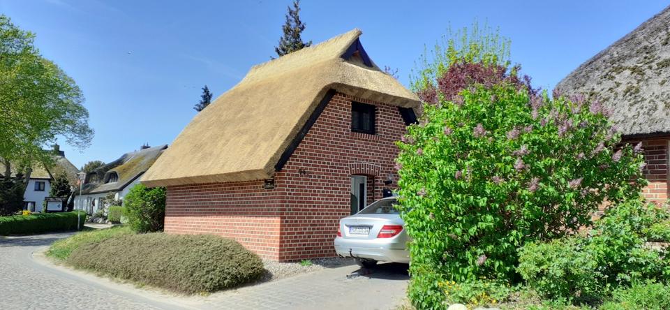 Thumbnail-Reetdachhäusche in Groß Zicker, Mönchgut, Rügen; erste Woche=