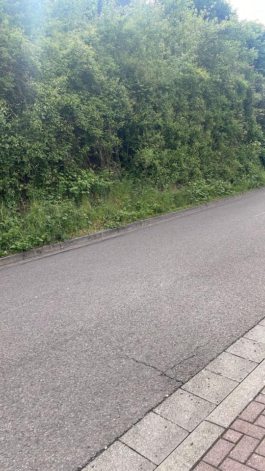 Thumbnail-Baugrundstück in Zweibrücken Wattweiler in bester Wohnlage