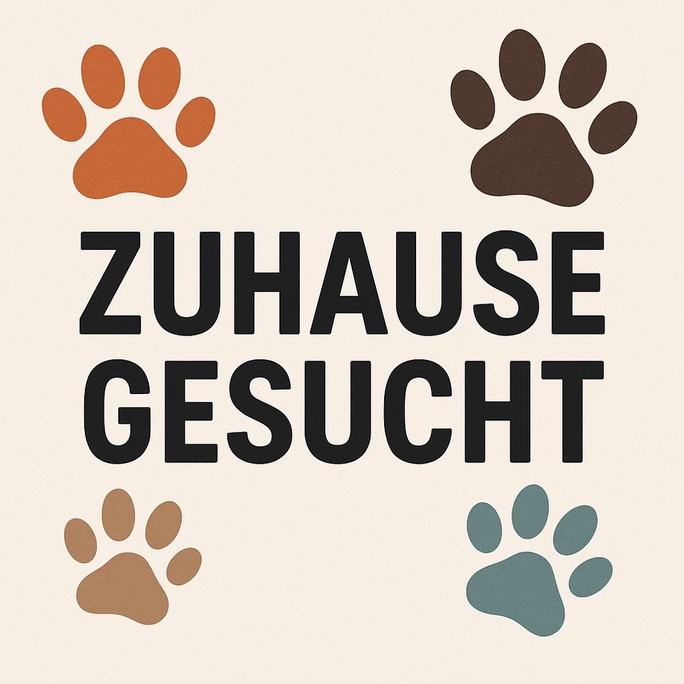 Thumbnail-Nachmieter 5 Zimmer Wohnung 01.02.2026