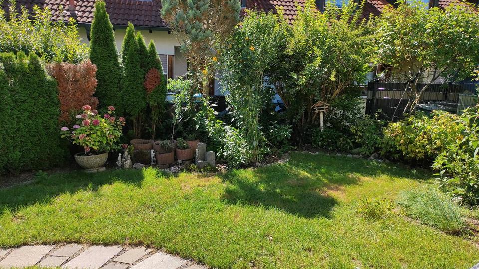 Thumbnail-Wohnung, 3,5 Zimmer