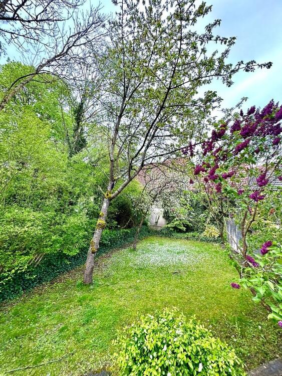 Thumbnail-Sanierte Wohnung im EG mit großer Süd-Terrasse und Garten