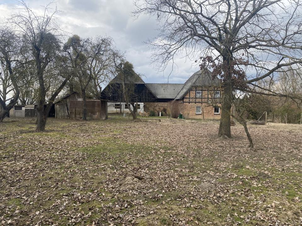 Thumbnail-Haus im Grünen-nur 1h von Berlin, Alleinlage+großes Grundstück