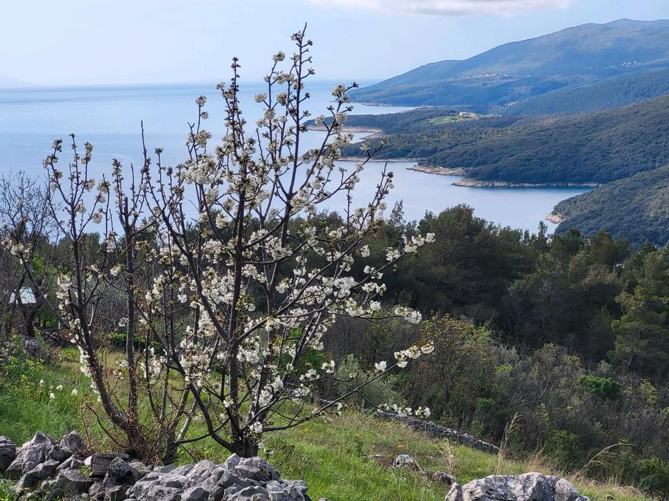 Thumbnail-Traumhaftes Baugrundstück mit unverbaubarem Meer- u. Bergblick