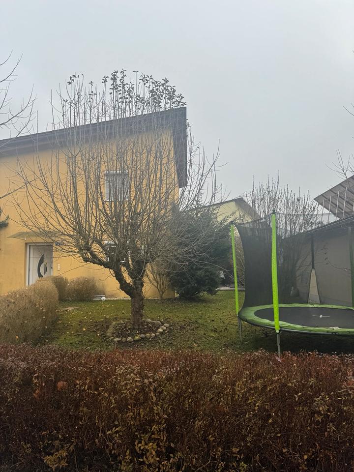 Thumbnail-Wunderschönes Haus im Zentrum