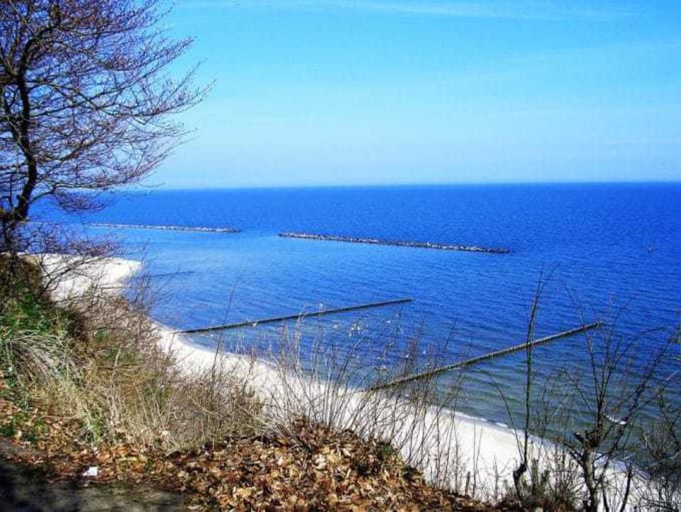 Thumbnail-Freie FeWo in Barth an der Ostsee