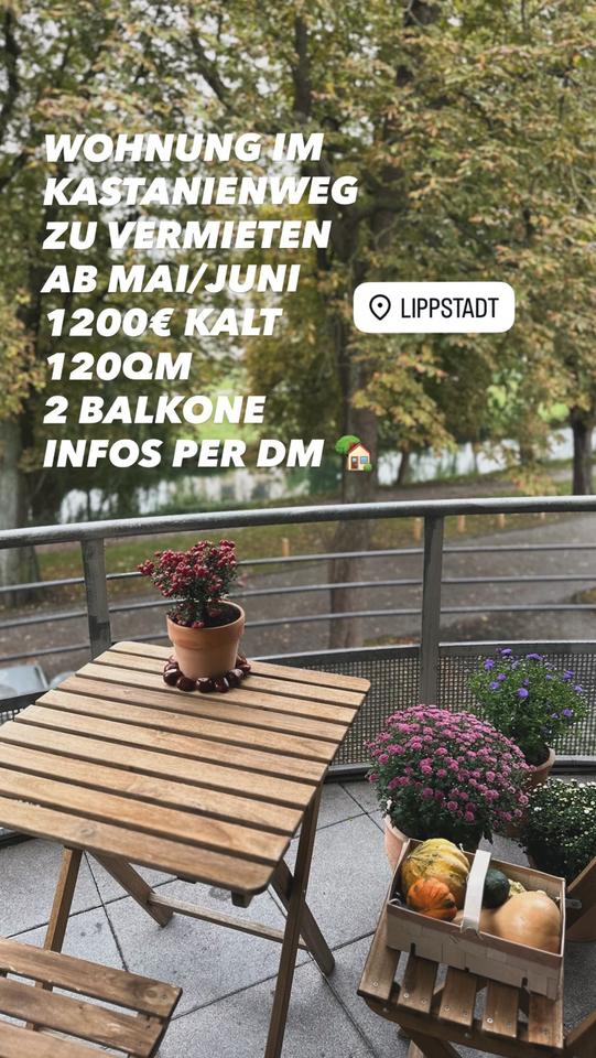 Thumbnail-Wohnung im Kastanienweg