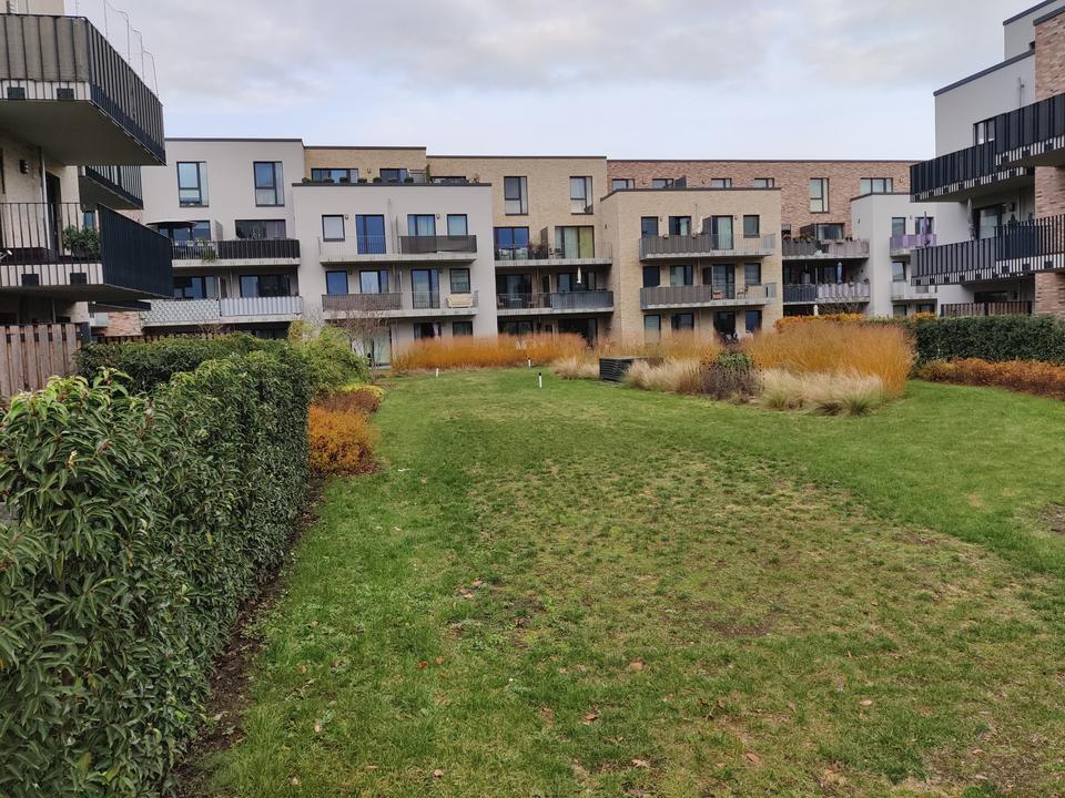Thumbnail-Neubauwohnung mit Terrasse zur Miete in Geesthacht- Wentzel Dr.