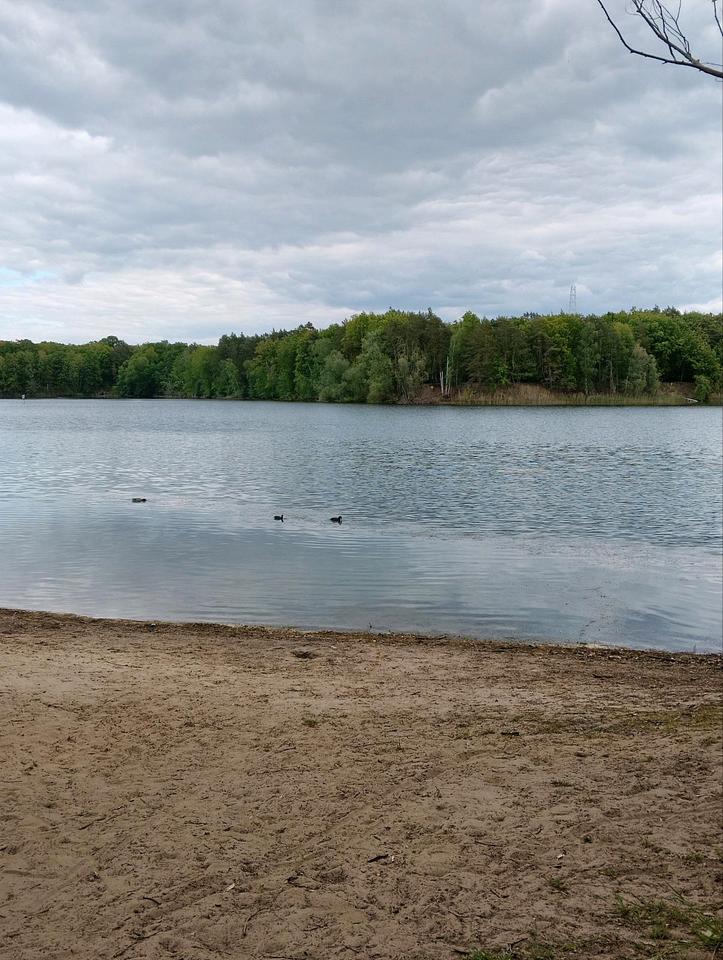 Thumbnail-Wohnung zu vermieten ab heute möglich befristet für 1-2 Monate