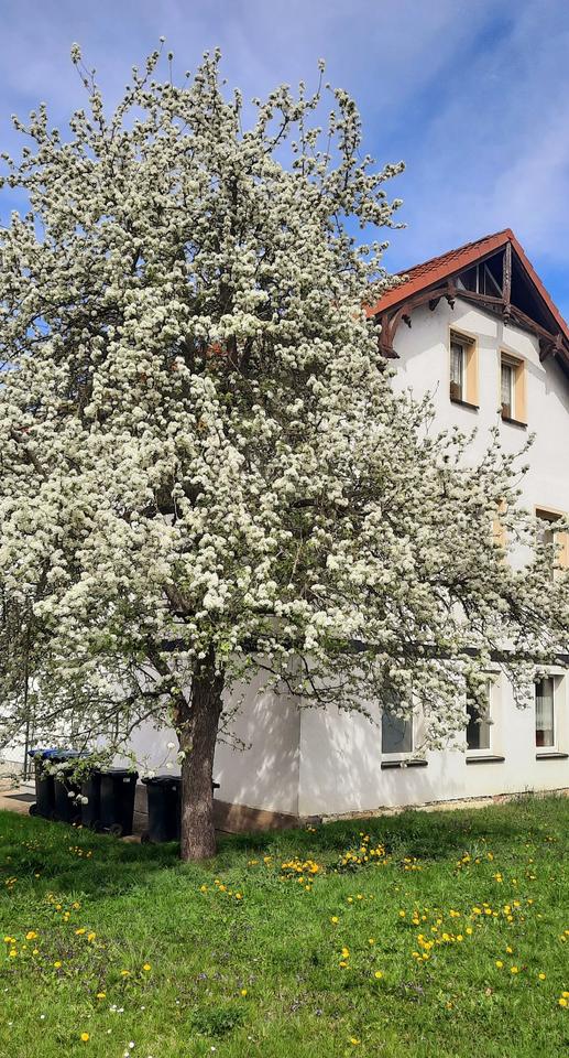 Thumbnail-Nette DG.Wohnung mit großen Balkon in Saalfeld