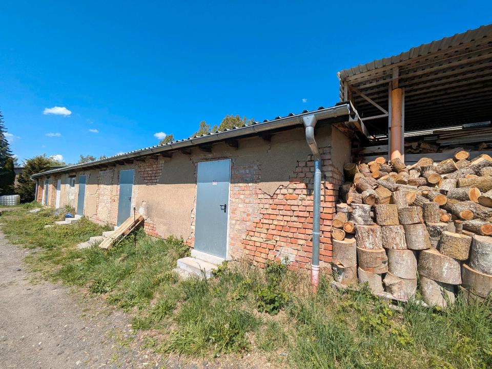 Thumbnail-Lagerräume Usedom Heringsdorf zu vermieten Stellplätze WomoBoote