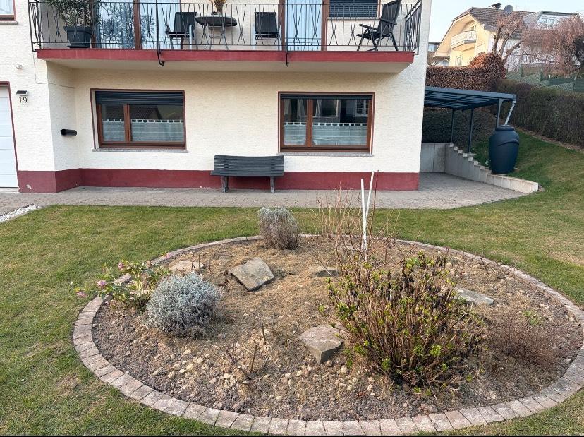 Thumbnail-Helle 2-Zimmer-Wohnung mit frisch renovierten Bad zu vermieten