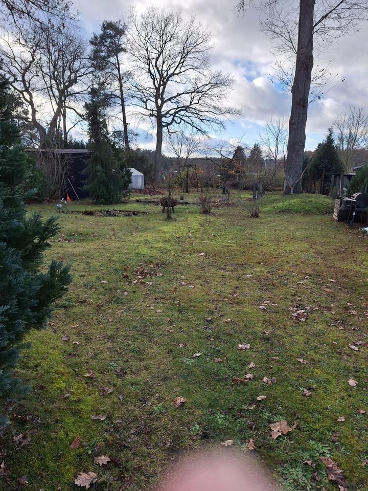 Thumbnail-Haus mit großem Garten & Waldnähe - Nähe Haff Ueckermünde