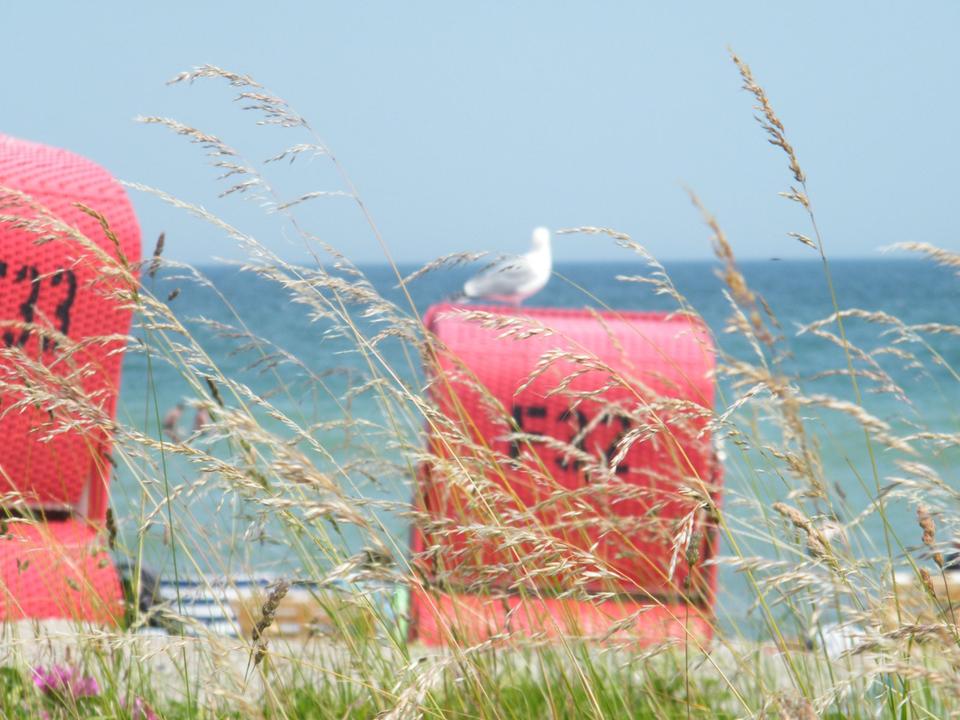 Thumbnail-Ostseebad Schönhagen an OstseeSchlei (2 Pers.)