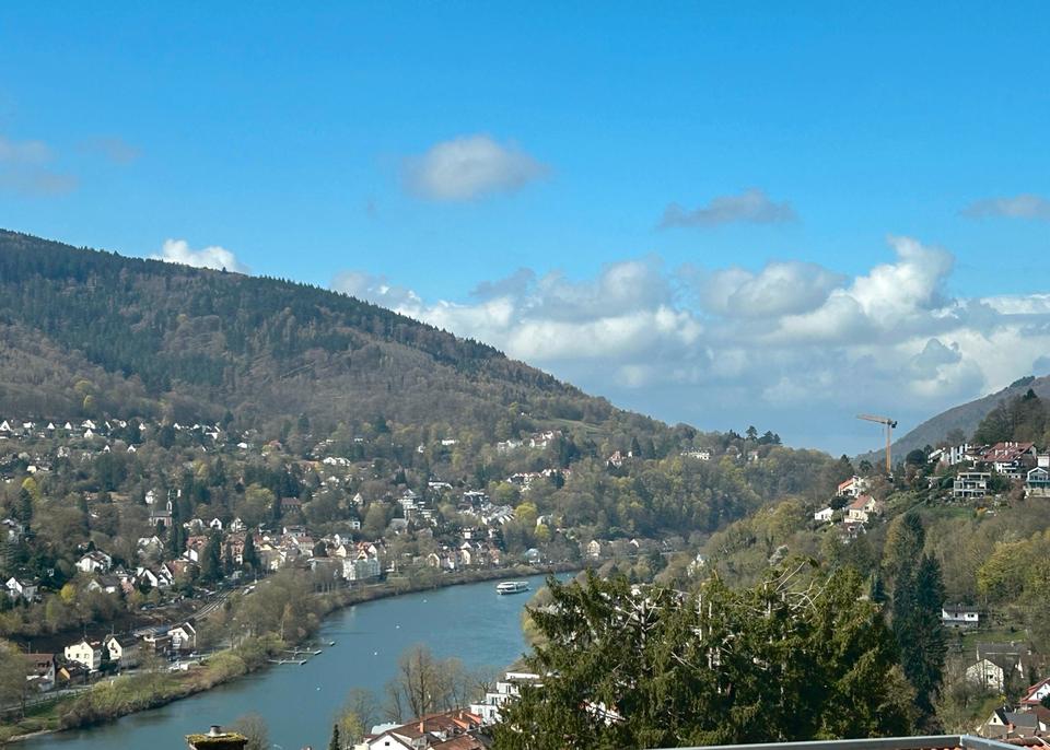Thumbnail-Doppelhaushälfte mit Einliegerwohnung mit Blick auf den Neckar