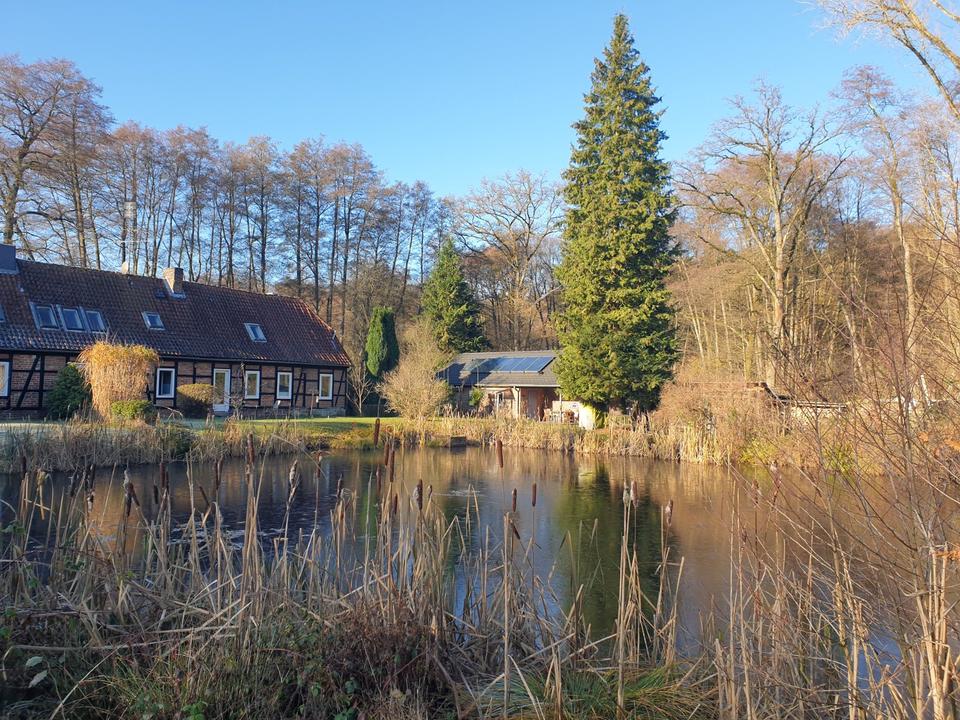 Thumbnail-Familienidyll für Natur Liebhaber 23 Doppelhaushälfte 155m²