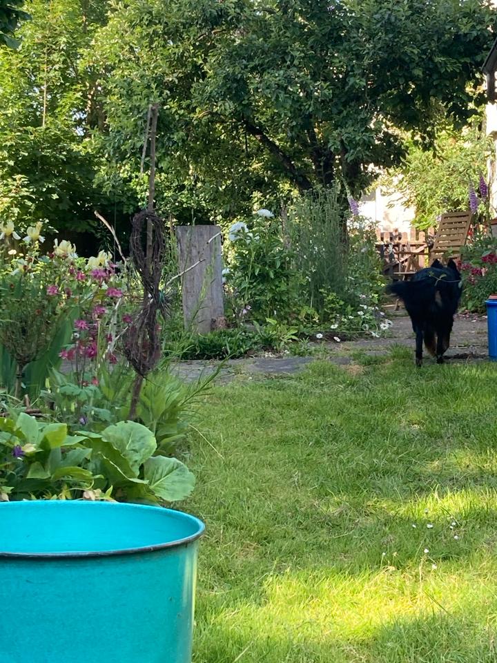 Thumbnail-Wohngemeinschaft 50+