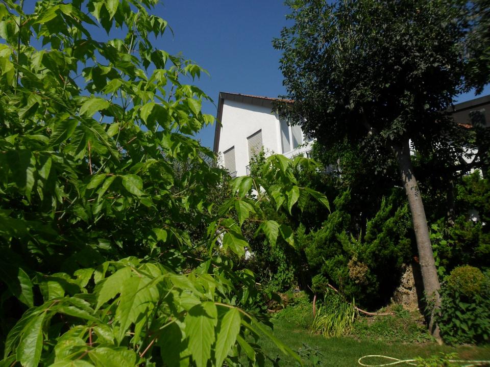 Thumbnail-Studentenzimmer in 3-er WG