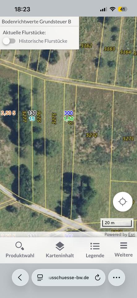 Thumbnail-Wiese in Schwieberdingen