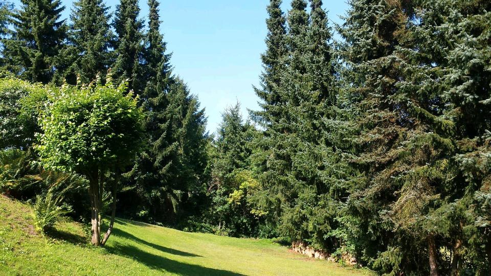 Thumbnail-Schöne Wohnung ca. 80 m² in Katzwinkel zu vermieten
