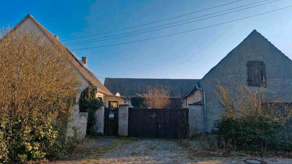 Thumbnail-Dreiseitenhof mit massiver Scheune, Stall+ Weideland. Tierhaltung