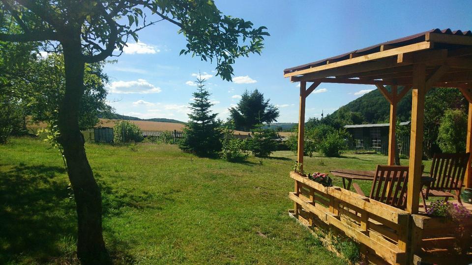 Thumbnail-Schönes Gartengrundstück Garten 800 m² zu verpachten Bienenzucht