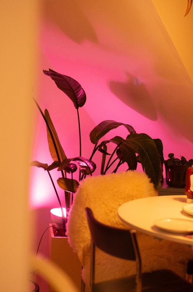 Thumbnail-Sonnendurchflutete Wohnung ** ZWISCHENMIETE