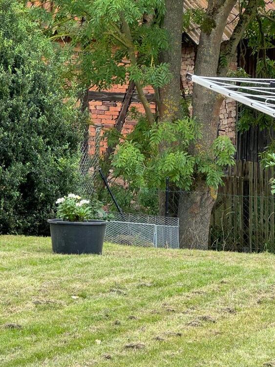 Thumbnail-1 Zimmer mit Bad 20 qm