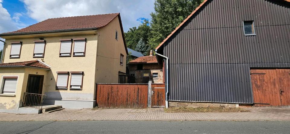 Thumbnail-Einfamilienhaus mit Nebengebäuden