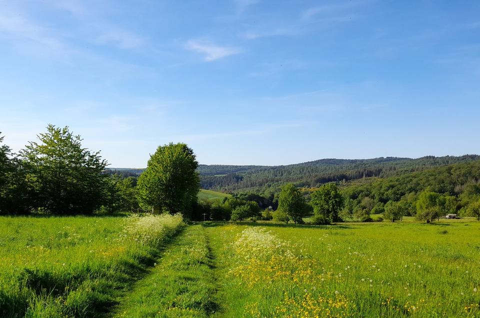 Thumbnail-Großzügiges Anwesen umgeben von Wald und Wiesen