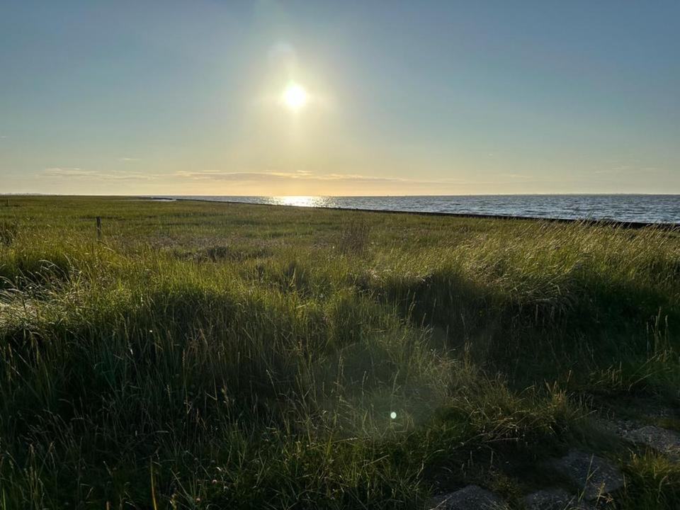 Thumbnail-FerienwohnungNordsee Urlaub 2026 buchbar - ohne Hund