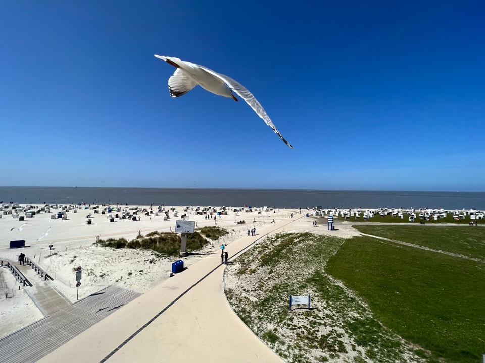 Thumbnail-Ferienhaus Norddeich, Nordsee nähe Anleger Ferienwohnung