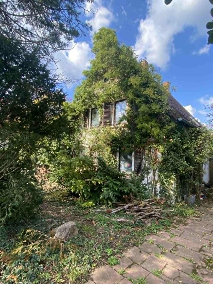 Thumbnail-Zauberhaftes Hexenhaus Nähe Kurpark