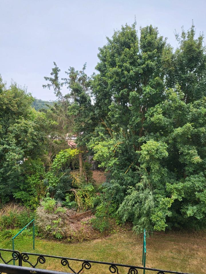 Thumbnail-3 Raum-Wohnung frisch renoviert und bezugsfertig, mit Balkon