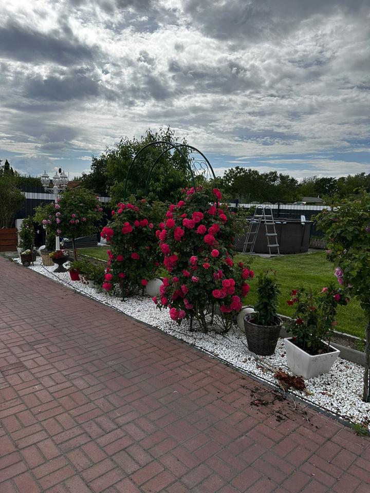 Thumbnail-Schönes Einfamilienhaus mit großen, gepflegtem Garten