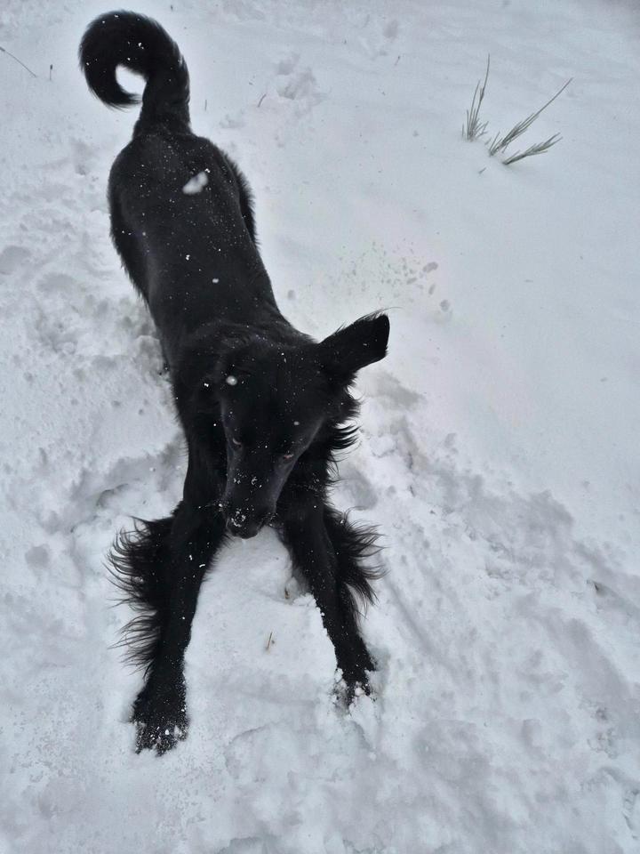 Thumbnail-Kleines Haus oder Erdgeschosswohnung