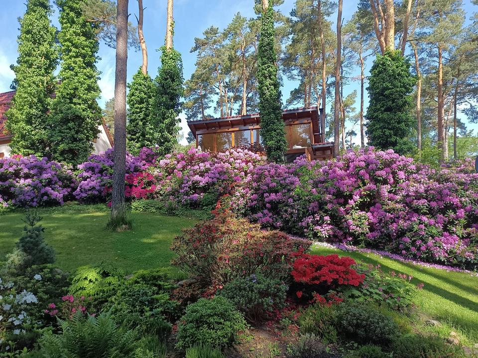 Thumbnail-Ferienhaus & Sauna Arendsee f. 2 Pers. direkt am See