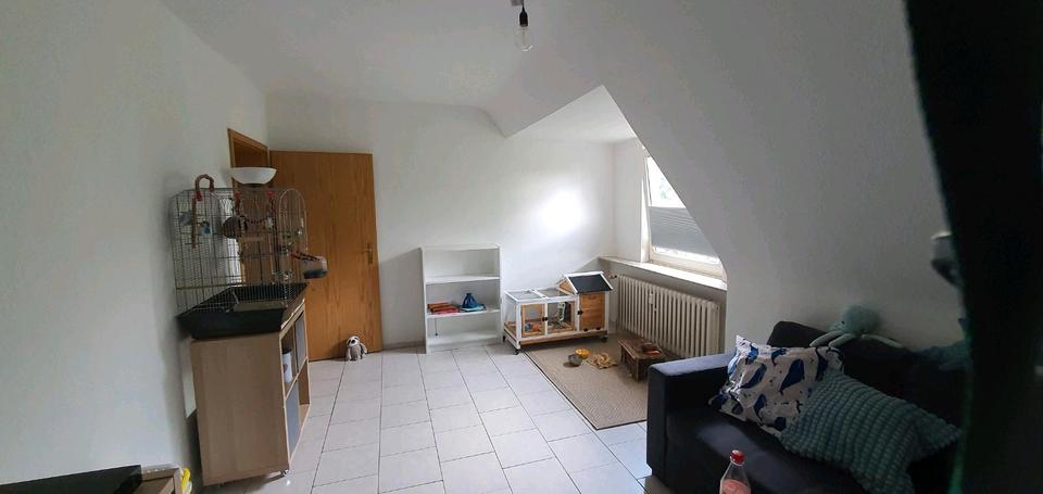 Thumbnail-Biete schöne 2,5 Zimmer Wohnung zu vermieten an