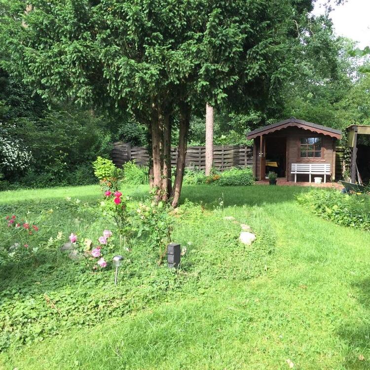 Thumbnail-Freistehendes Einfamilienhaus am Stadtwald