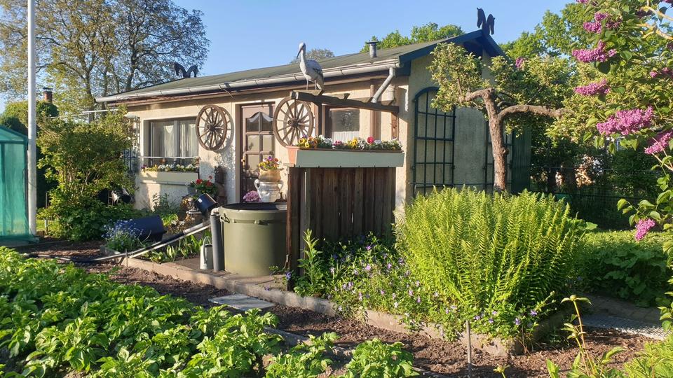 Thumbnail-Kleingarten abzugeben