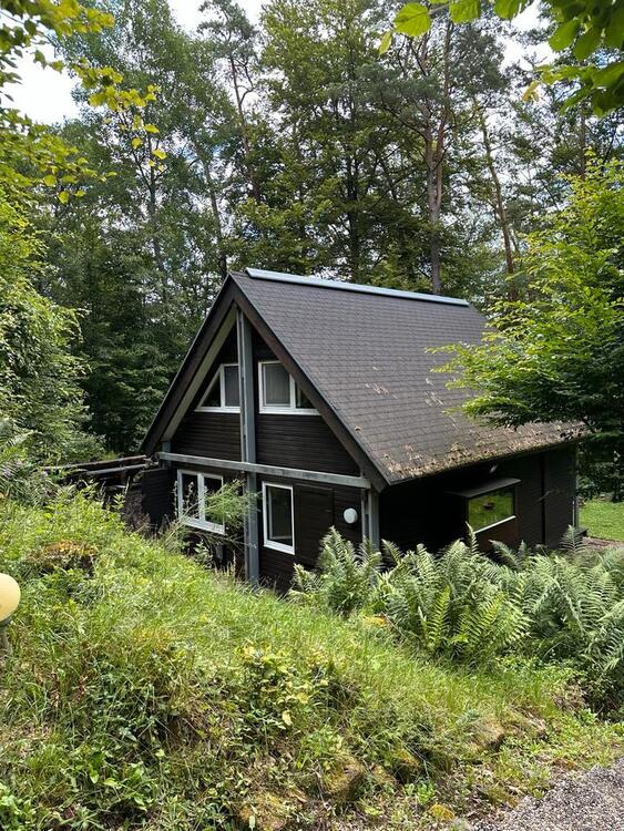 Thumbnail-Haus im Feriengebiet Schafhof bei Elmstein