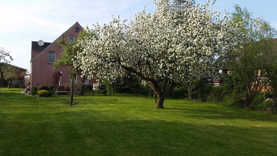 Thumbnail-Sonnige Mietwohnung in Küstennähe