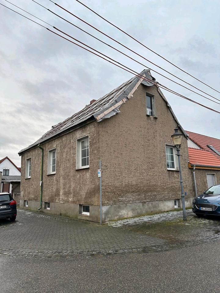 Thumbnail-Haus im Oranienbaum-Wörlitzer Gartenreich