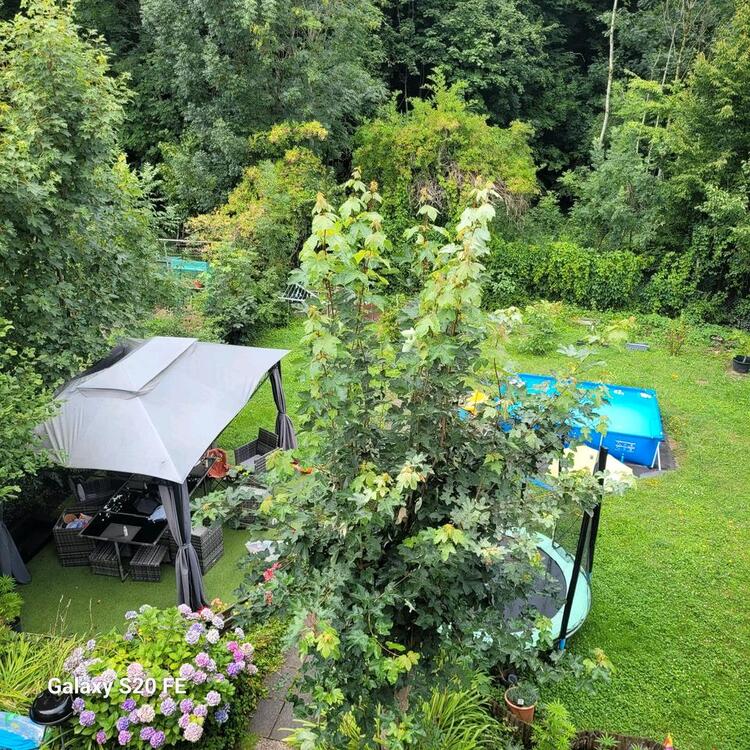 Thumbnail-Große Wohnung Spiesen-elversberg Waldstrasse