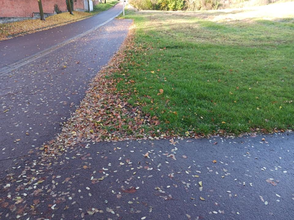 Thumbnail-Großes Grundstück in der Lindenhofstraße 14€qm