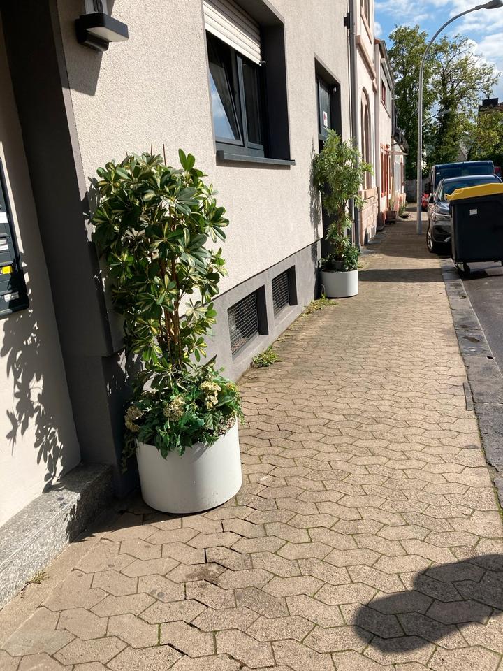 Thumbnail-1 ZKB zu vermieten in 66115 Saarbrücken