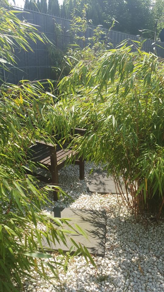 Thumbnail-Charmantes Zechenhaus in GE Hassel